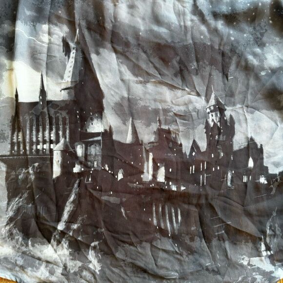 Torrid Harry Potter Hogwarts Castle Black Sheer Top Size 3 Halloween Magic - Picture 9 of 10